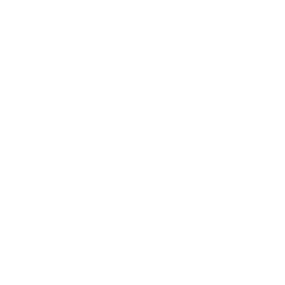 movers-iInsurance-cargo