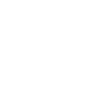 Vision