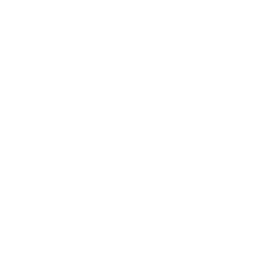 Voluntary Benefits