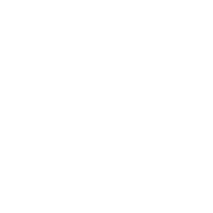Auto Insurance