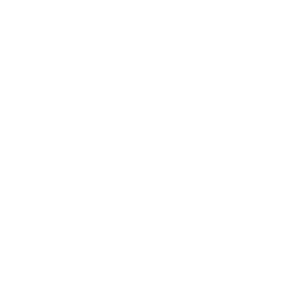 Compliance-icon