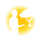 Wood and Forestry Products
