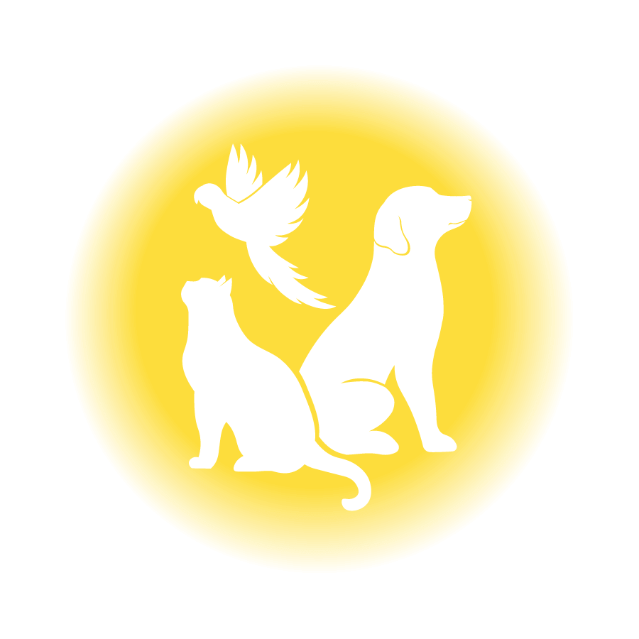 Pet Insurance | Highstreet Insurance Partners