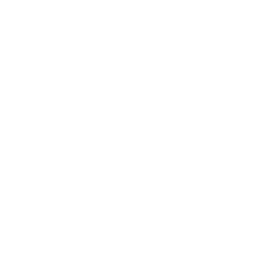 Life Insurance-logo
