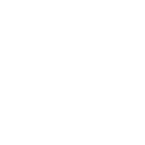 Pet Insurance-icon