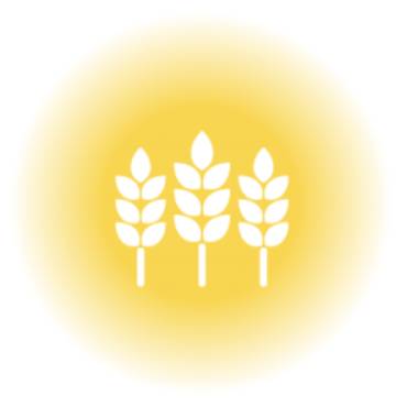 Livestock &amp; Cattle Insurance